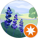 ju gogole profile picture