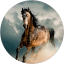 Przemeq Gaw profile picture